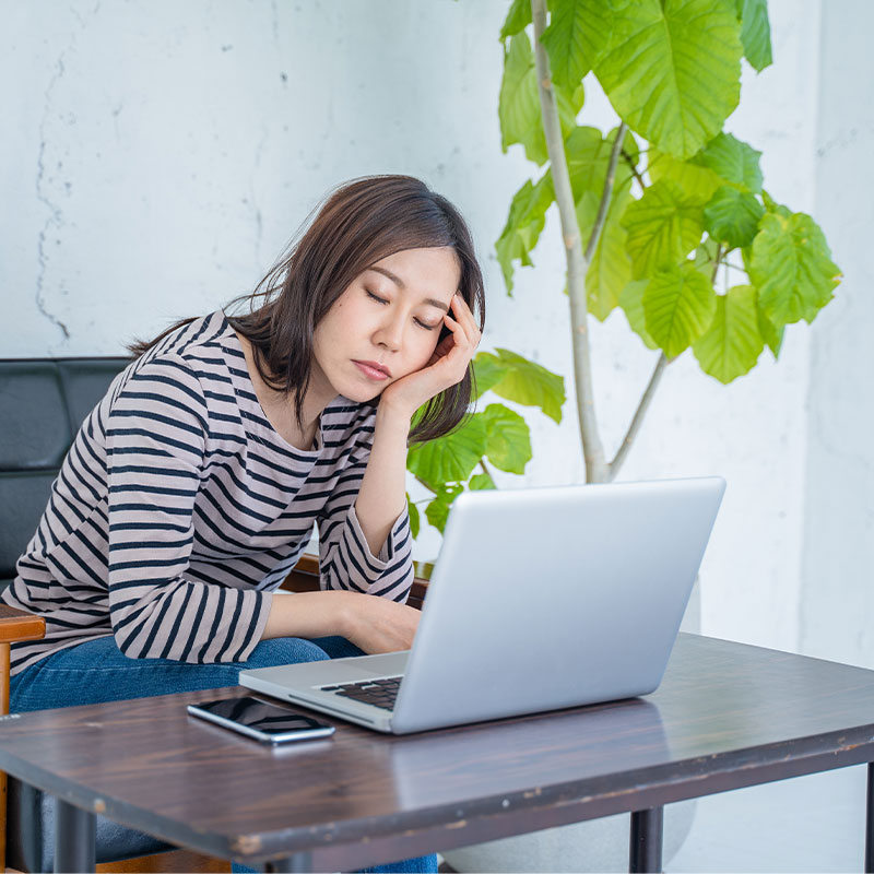 プルーンの栄養素