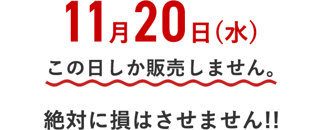 11月20日(水)　この日しか販売しません。
		絶対に損はさせません!!