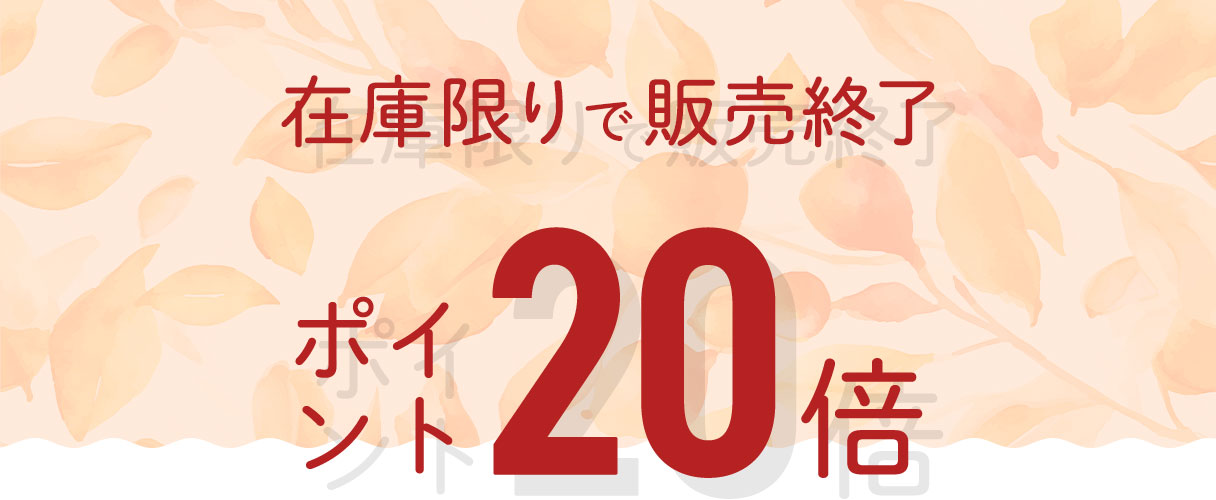 在庫限りで販売終了　ポイント20倍