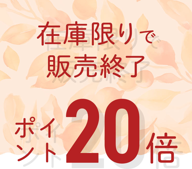 在庫限りで販売終了　ポイント20倍