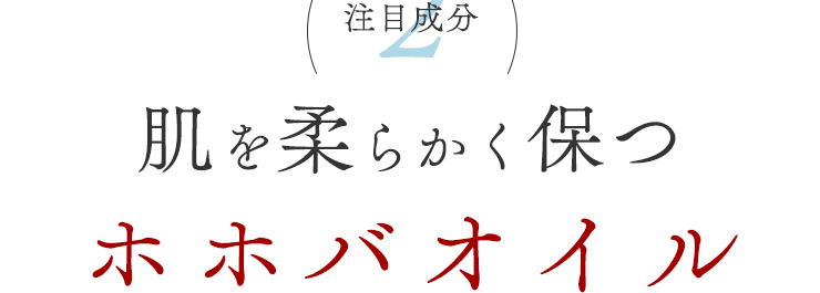 注目成分②　肌を柔らかく保つ　ホホバオイル