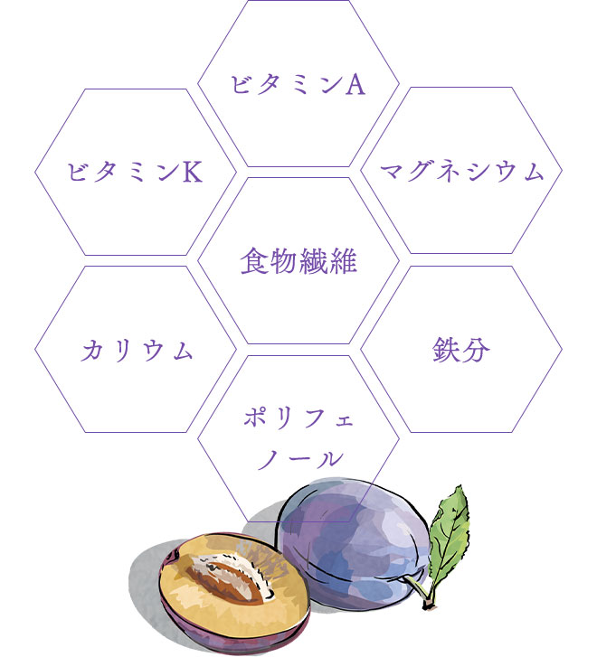 プルーンの栄養素