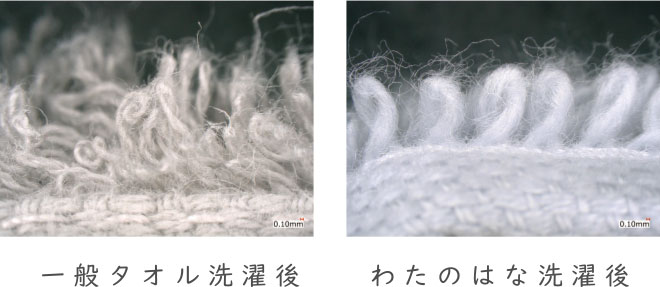 わたのはなタオル 超無撚糸