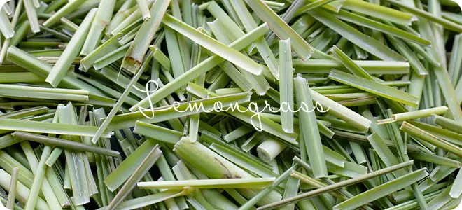 レモングラス