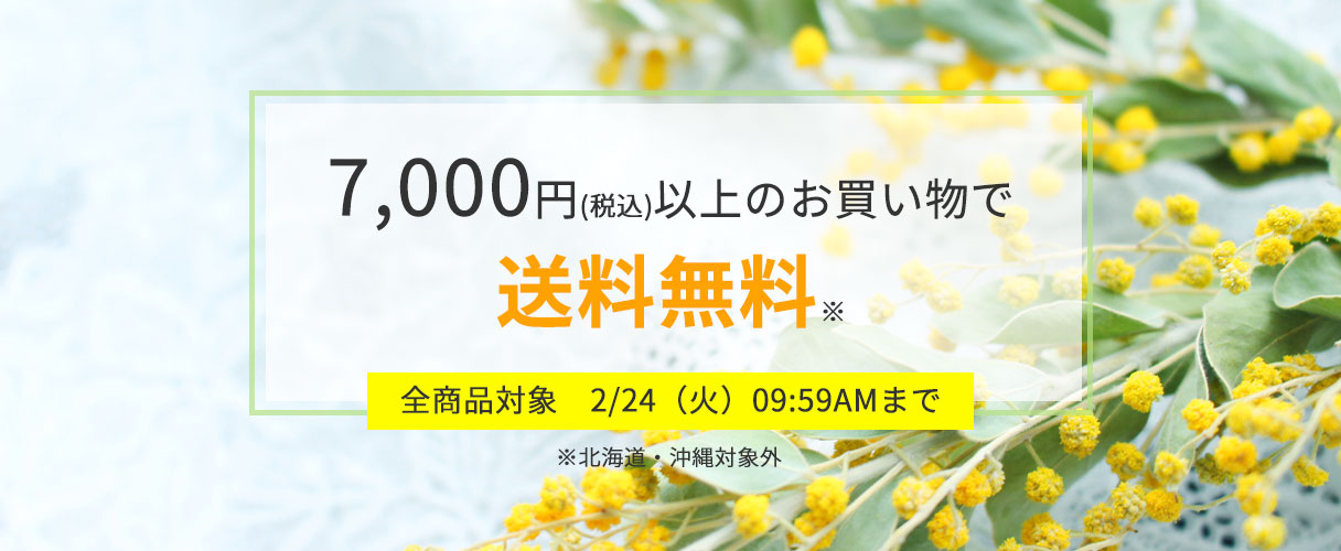7,000円(税込)以上のお買い物で
送料無料※
全商品対象 2/24(火)09:59AMまで
※北海道・沖縄対象外