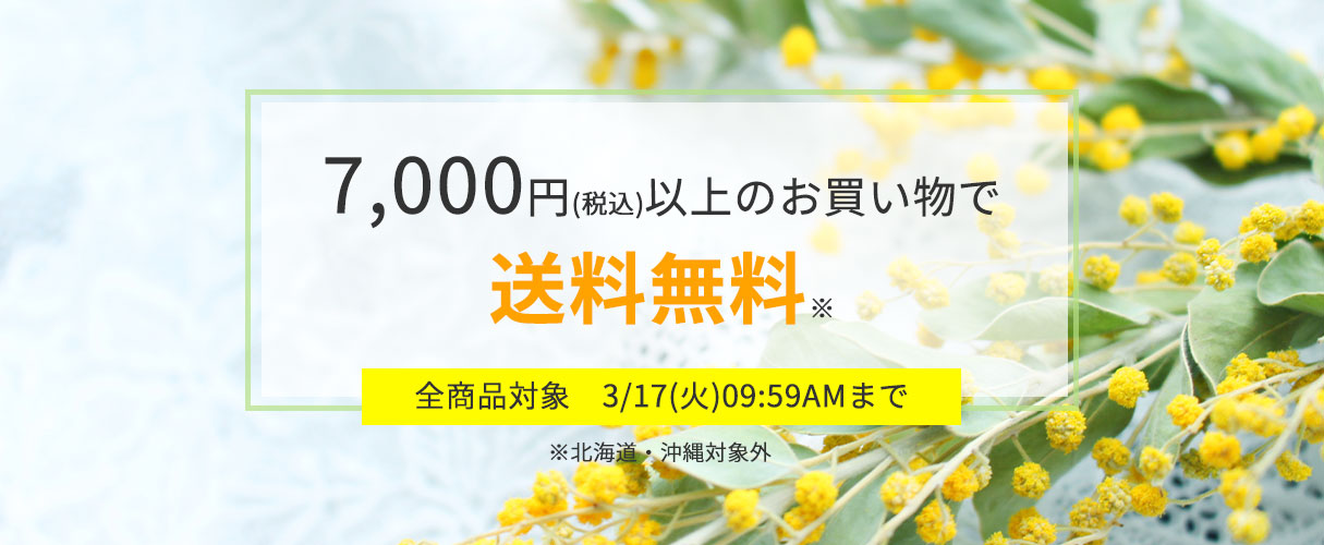 7,000円（税込）以上のお買い物で
	送料無料※
	全商品対象　2/24（火）09:59AMまで
	※北海道・沖縄対象外