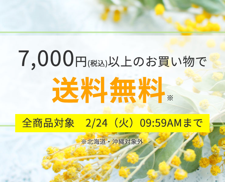 7,000円(税込)以上のお買い物で
送料無料※
全商品対象 2/24(火)09:59AMまで
※北海道・沖縄対象外