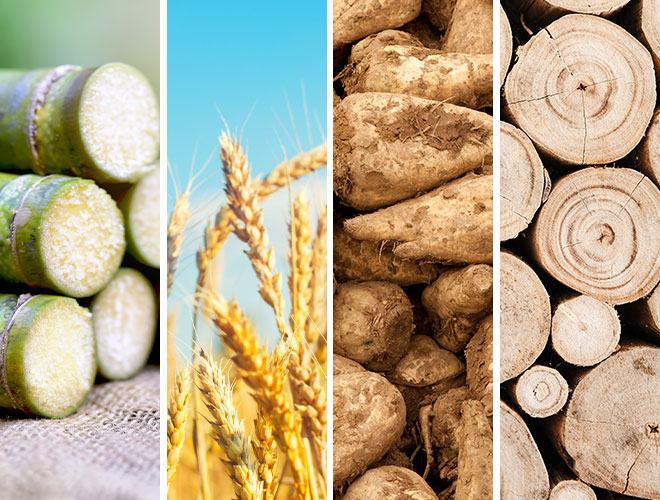 サトウキビ
			小麦
			甜菜
			木材