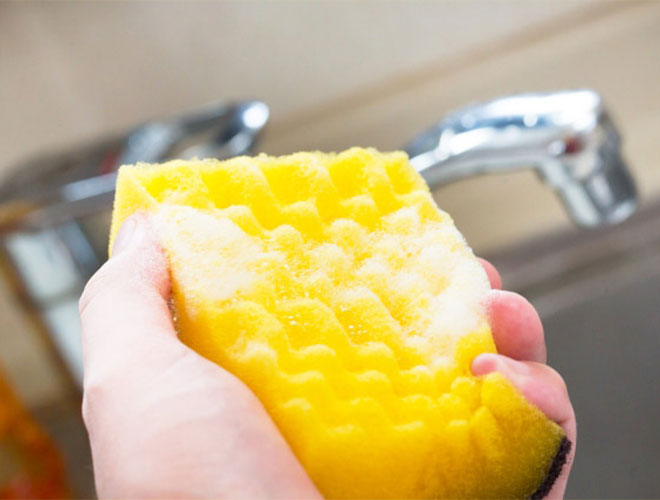 食器洗い用スポンジ