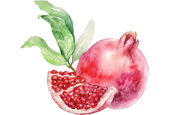 柘榴